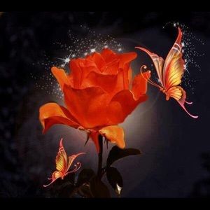 Meet your Posher, Tina